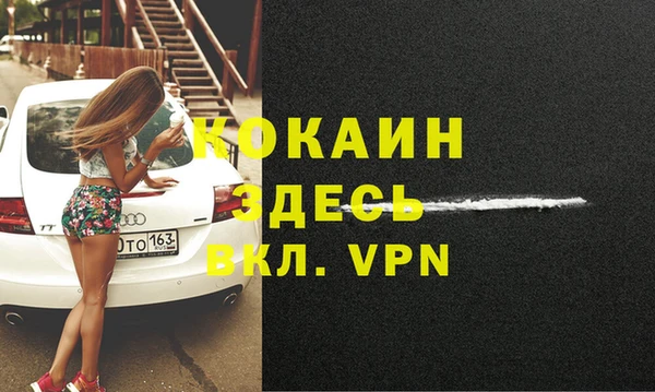 МДПВ Киселёвск