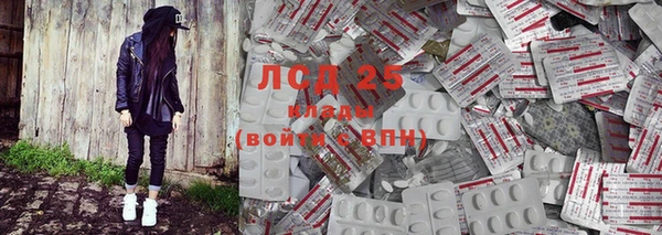 спайс Тавда