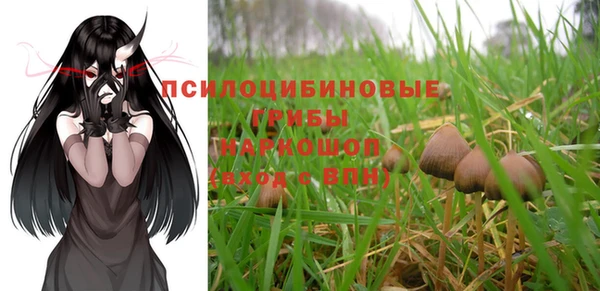 спайс Тавда
