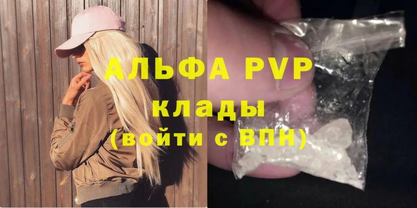 спайс Тавда