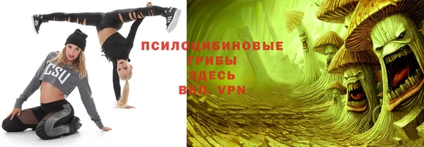 спайс Тавда