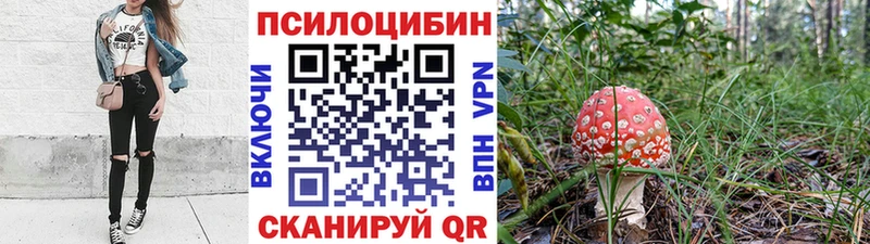 Псилоцибиновые грибы Magic Shrooms Болгар