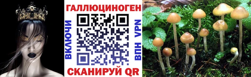 Псилоцибиновые грибы ЛСД как найти наркотики Болгар